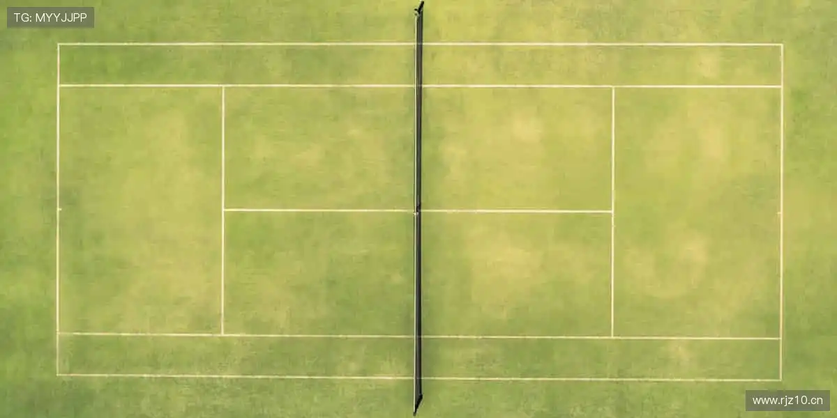 🚀 突破极限，超越自我，官网与你共赴体育新征程！